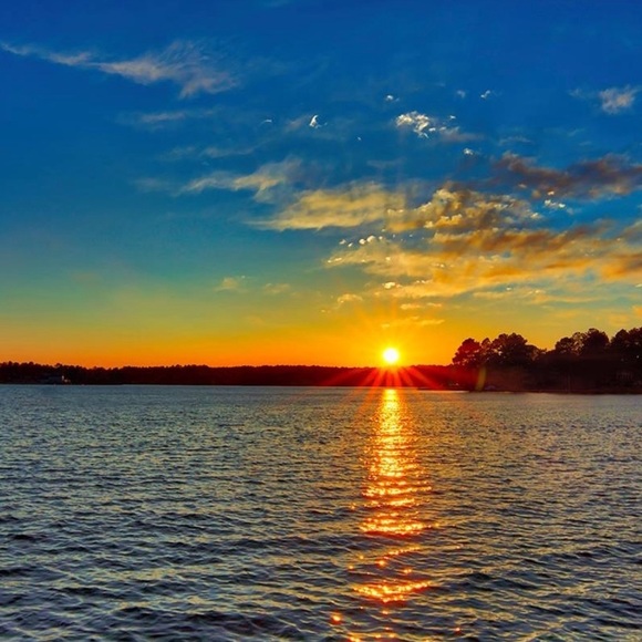 #21 Show Listing - Picture 1 of 1